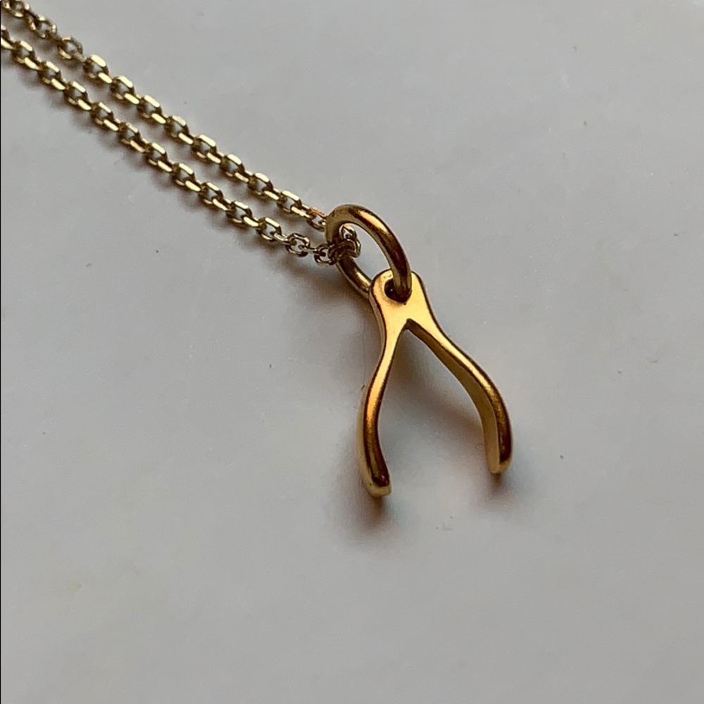 Wishbone Necklace - Picture 2 of 6